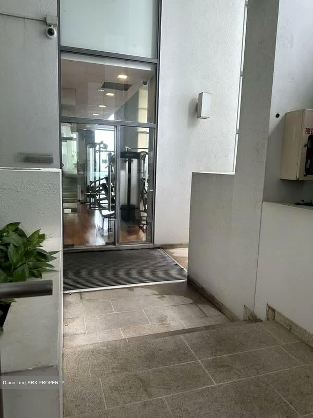 Icon (D2), Apartment #556761941